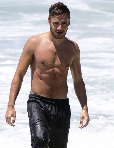Image - One-direction-liam-payne-shirtless-surf-session-29-1-.jpg - One ...