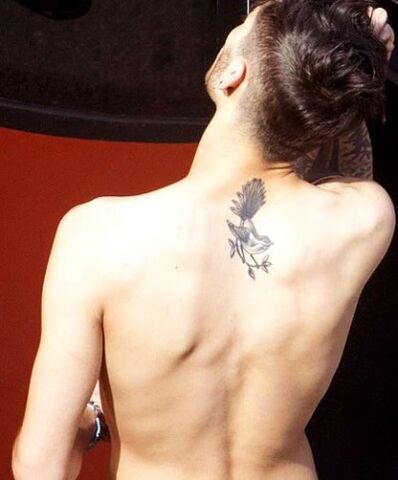File:Zayn-malik-newzealand-fantail-bird-tattoo-400x482.jpg