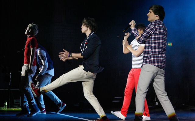File:1D-Concert-Harry.jpg