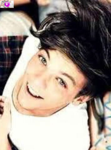 Datei:Poster-of-louis-tomlinson-x-source.jpg