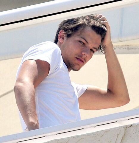 Datei:The-Louis-Image-louis-tomlinson-33843760-550-565.jpg