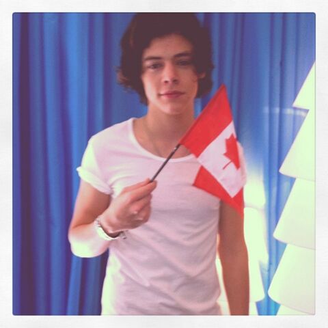 File:Harry with flag.jpg