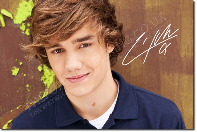 File:Liam-Payne-random-31327723-764-512.jpg