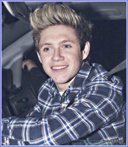 File:Niall-Horan-2013-one-direction-33251073-1398-1600.jpg