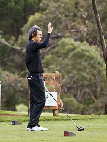 File:Harry Golf.jpg
