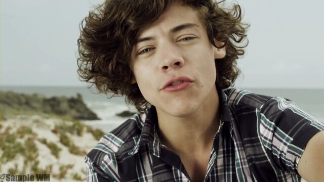 File:Harry-Styles-2013-Harry-Styles-HD-Wallpaper.jpg