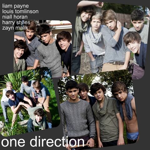 File:One-direction-3-one-direction-17722524-1024-1024.jpg