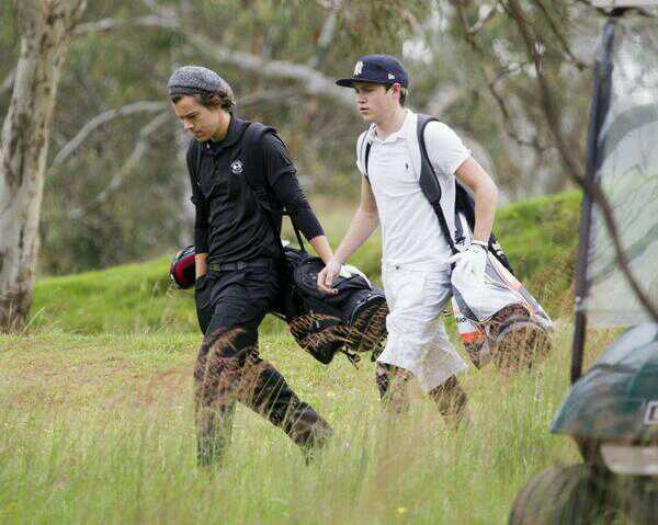 File:Harry and Niall.jpg