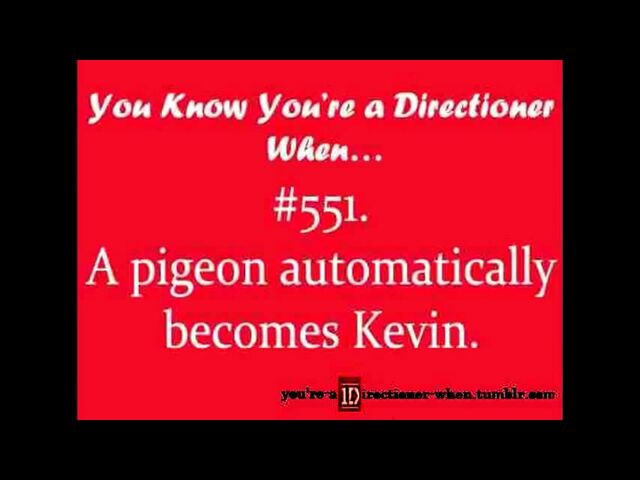 File:KEVIN .jpg