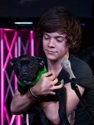 File:Harry with puppy.jpg