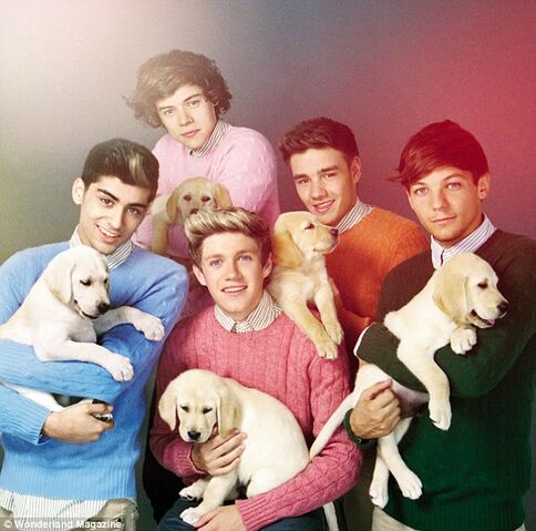 File:One-Direction-Puppies.jpg