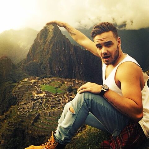 File:Liam Payne- 10249304776477519043715392146427 n.jpg