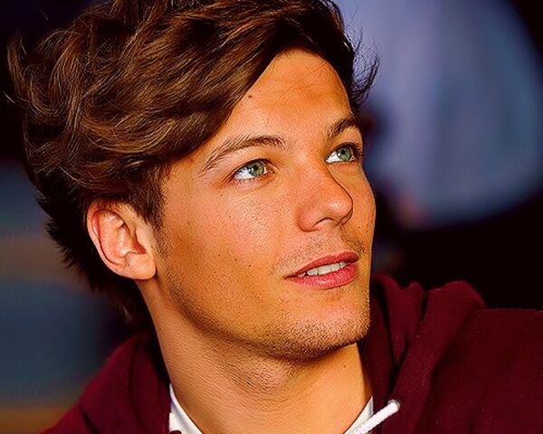 File:LouisTomlinson-louis-tomlinson-30185654-1280-1024.jpg