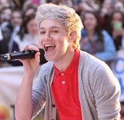 Niall-Horan-1D-2013-Haircuts-Trends