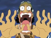 Usopp tremolant.jpg