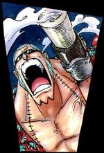 Franky time-skip