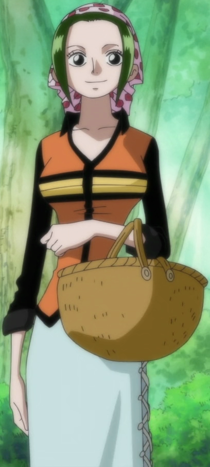 Makino's_Outfit_When_Visiting_Luffy.png