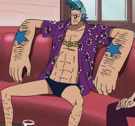 Franky One Piece Wiki FANDOM powered by Wikia