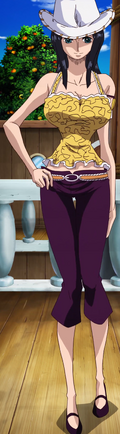 File:Robin's Outfit Skypiea Arc.png