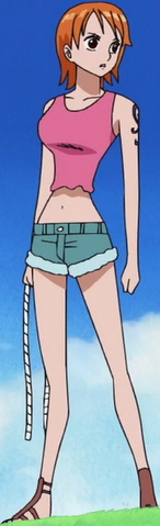 File:Nami's Amazon Lily Arc Outfit.png