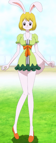 File:Carrot Second Totland Outfit.png