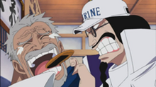 Garp 4