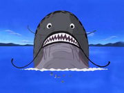 Sandoracatfish