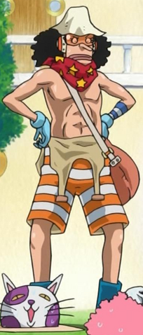 File:Usopp z.png