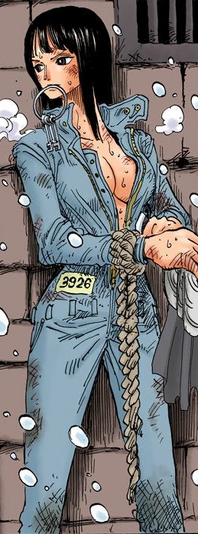 File:Robin's Outfit on Tequila Wolf.png