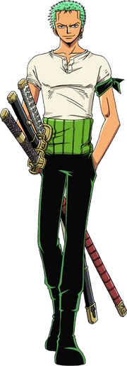 Zoro's Common Outfit