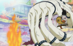 Energy steroid one piece wiki