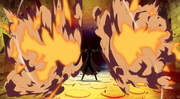Pamu Pamu no Mi Infobox.png