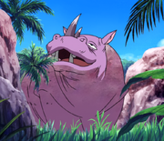 Hipopotamo Rinoceronte.png