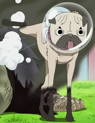File:Saru Anime Infobox.png