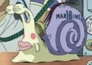 Den Den Mushi.jpg