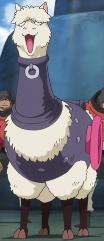 File:Alpacacino Anime Infobox.png