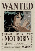 Arquivo:120px-Robinbounty.jpg