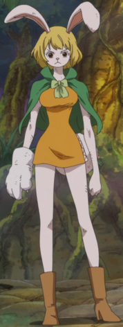 File:Carrot Anime Infobox.png