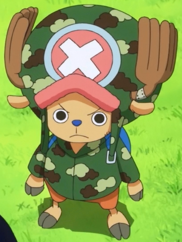 File:Chopper Camouflage.png