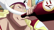 Shirohige nach Shikis Ausbruch