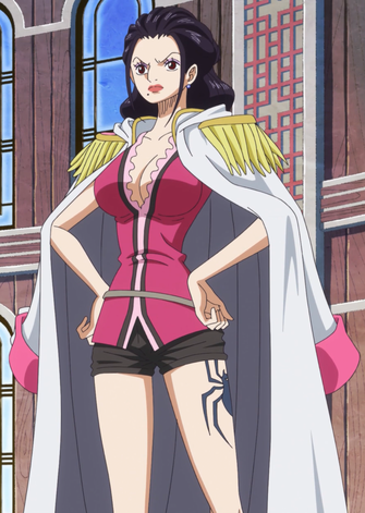 On The Rise 10 Strongest Women In One Piece To Date On The Rise 10 Strongest Women In One Piece To Date