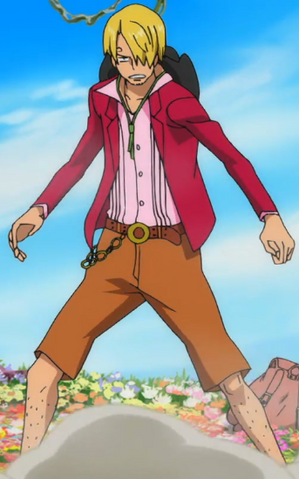 File:Sanji SW.png