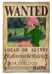ReiWanted