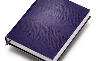 Lizard-purple