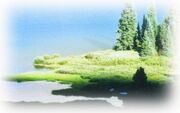 SkyIslandNewFade