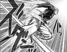 Garou Leg