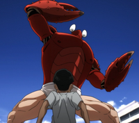CrabAttackKid