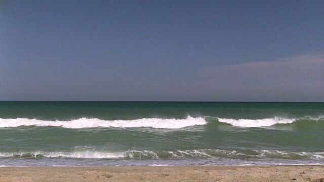 File:701 tree hill beach.jpg