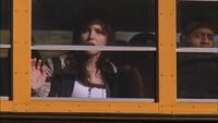 316BROOKELEAVES