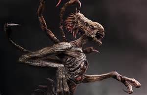 Kal Krika Species number 89356296761